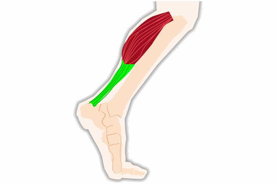 Tendinopathie d’Achille chez Katarina Johnson-Thompson